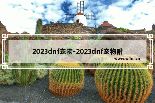 2023dnf宠物-2023dnf宠物附魔宝珠能交易么