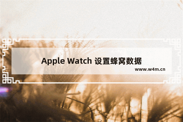 Apple Watch 设置蜂窝数据