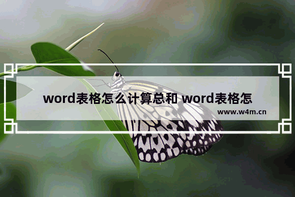 word表格怎么计算总和 word表格怎么计算总和一列数字