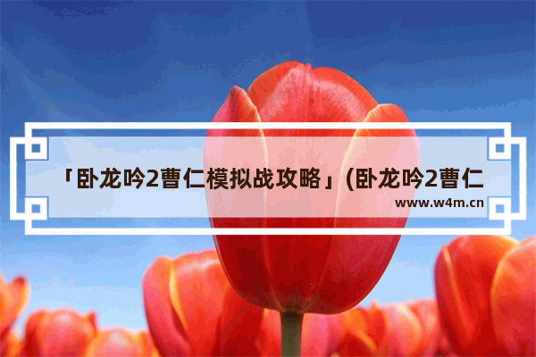 「卧龙吟2曹仁模拟战攻略」(卧龙吟2曹仁模拟战攻略三)