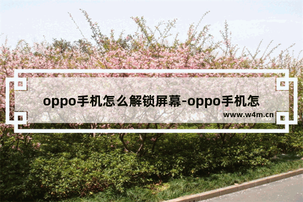 oppo手机怎么解锁屏幕-oppo手机怎么解锁屏幕锁