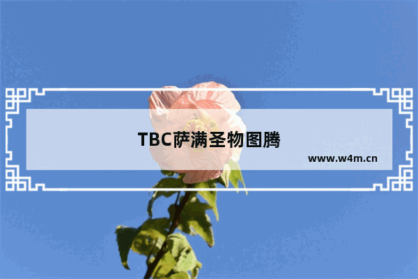 TBC萨满圣物图腾