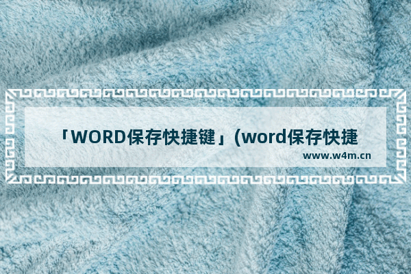 「WORD保存快捷键」(word保存快捷键不好使)