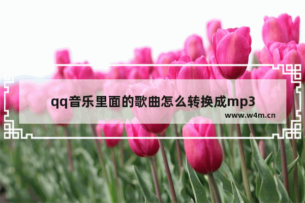 qq音乐里面的歌曲怎么转换成mp3