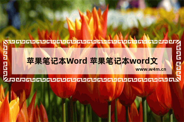 苹果笔记本Word 苹果笔记本word文档怎么加空白下划线