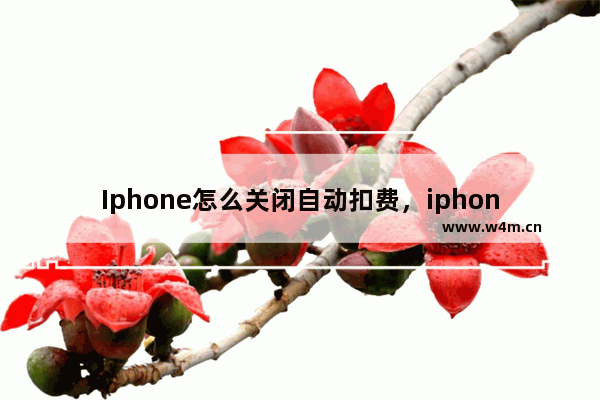 Iphone怎么关闭自动扣费，iphone怎么关闭自动扣费的订阅