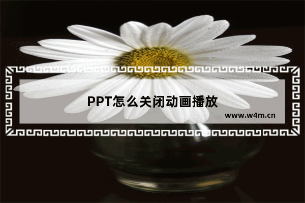 PPT怎么关闭动画播放