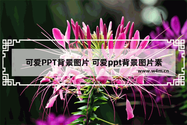 可爱PPT背景图片 可爱ppt背景图片素材