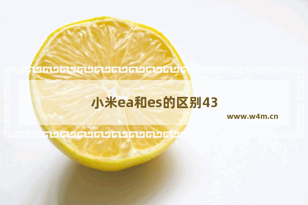 小米ea和es的区别43