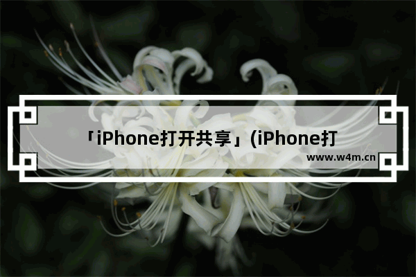 「iPhone打开共享」(iPhone打开共享相册)