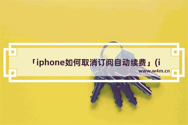 「iphone如何取消订阅自动续费」(iphone如何取消订阅自动续费音乐)