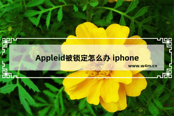 Appleid被锁定怎么办 iphoneappleid被锁定怎么办