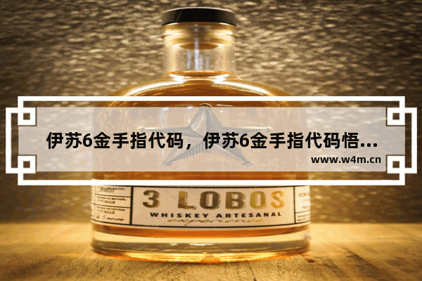 伊苏6金手指代码，伊苏6金手指代码悟饭游戏厅