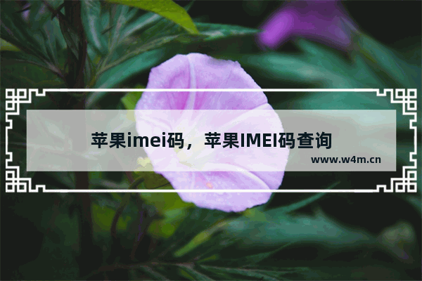 苹果imei码，苹果IMEI码查询