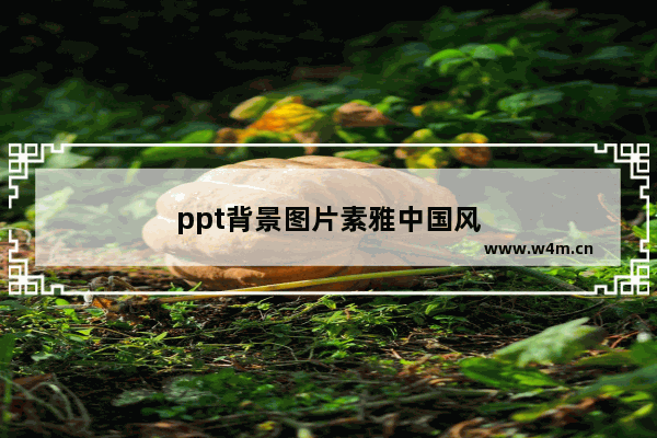 ppt背景图片素雅中国风