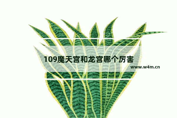 109魔天宫和龙宫哪个厉害