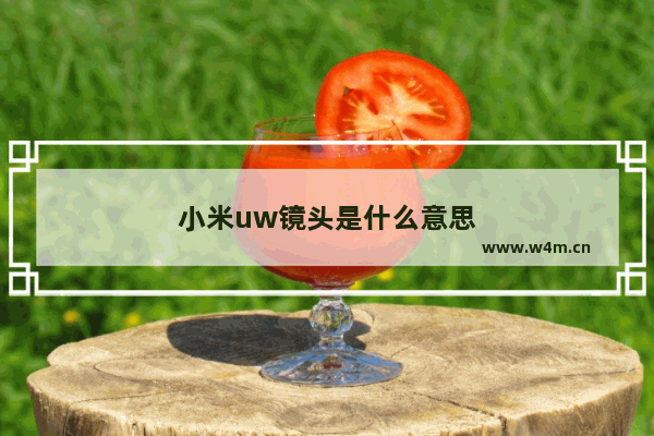 小米uw镜头是什么意思