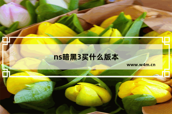 ns暗黑3买什么版本