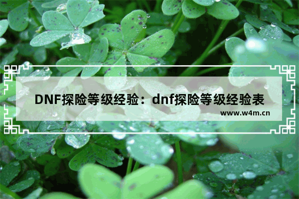 DNF探险等级经验：dnf探险等级经验表