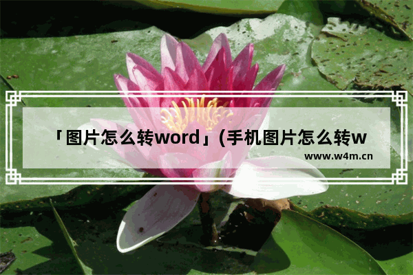 「图片怎么转word」(手机图片怎么转word文档格式)