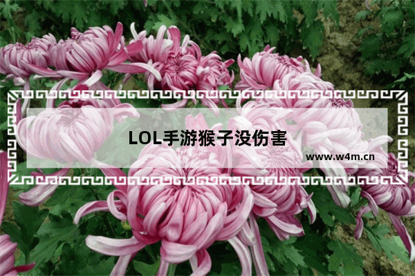 LOL手游猴子没伤害