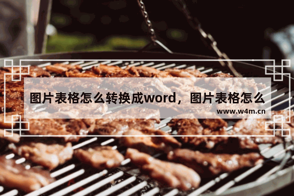 图片表格怎么转换成word，图片表格怎么转换成Word表格