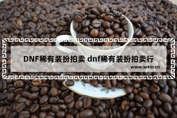 DNF稀有装扮拍卖 dnf稀有装扮拍卖行