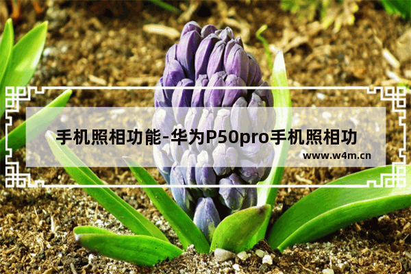 手机照相功能-华为P50pro手机照相功能怎么使用