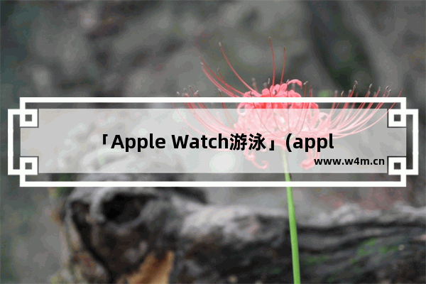 「Apple Watch游泳」(apple watch游泳数据记录不到)