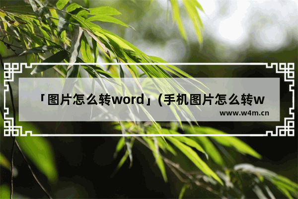 「图片怎么转word」(手机图片怎么转word文档格式)