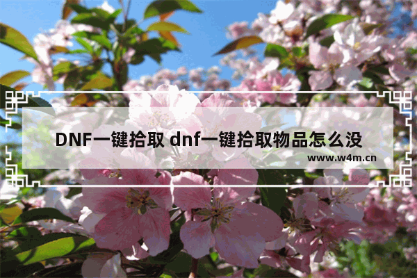 DNF一键拾取 dnf一键拾取物品怎么没效果