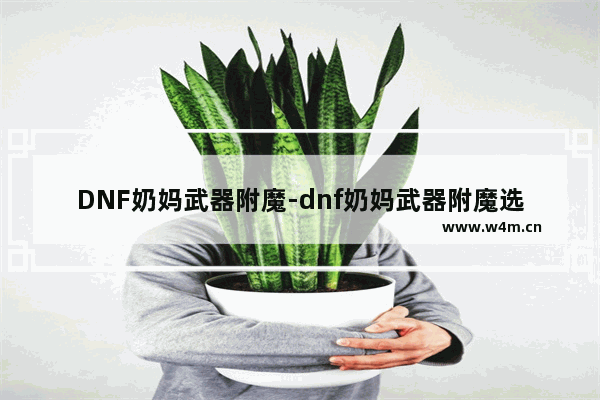 DNF奶妈武器附魔-dnf奶妈武器附魔选择