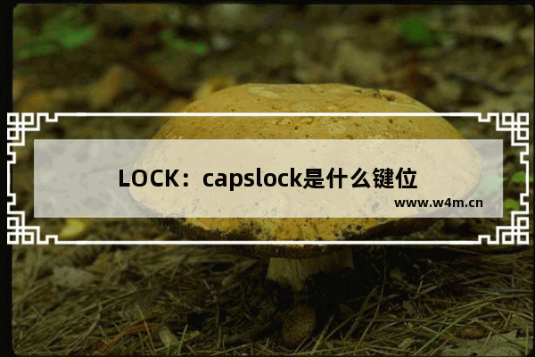 LOCK：capslock是什么键位