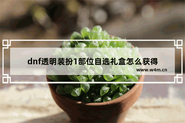 dnf透明装扮1部位自选礼盒怎么获得