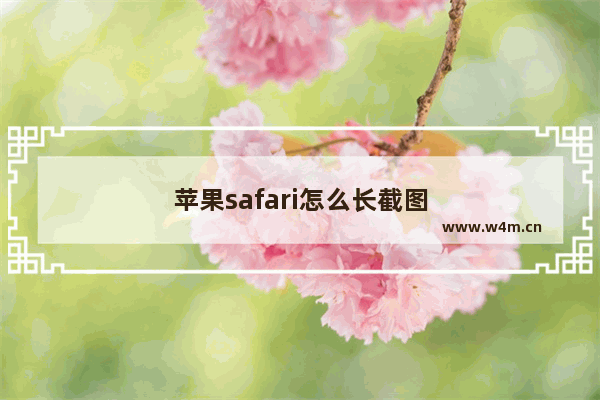 苹果safari怎么长截图