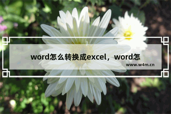 word怎么转换成excel，word怎么转换成excel表格格式不对