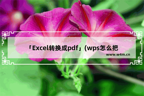 「Excel转换成pdf」(wps怎么把excel转换成pdf格式)