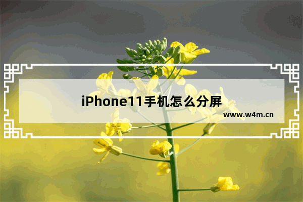 iPhone11手机怎么分屏