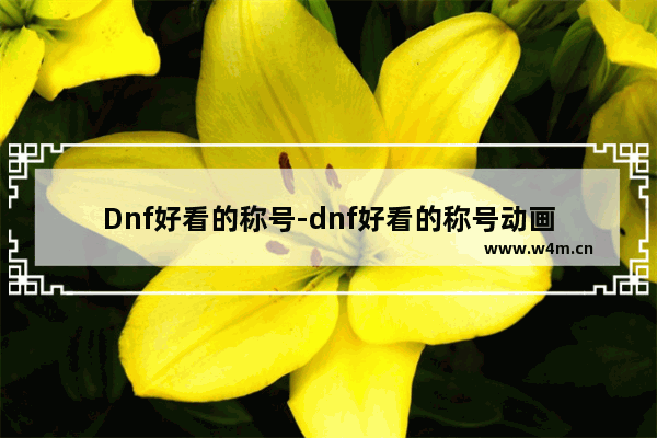 Dnf好看的称号-dnf好看的称号动画