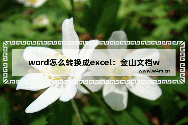 word怎么转换成excel：金山文档word怎么转换成excel