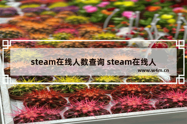 steam在线人数查询 steam在线人数查询dota2