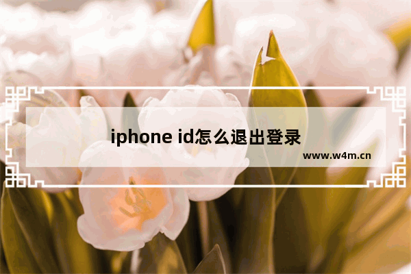 iphone id怎么退出登录