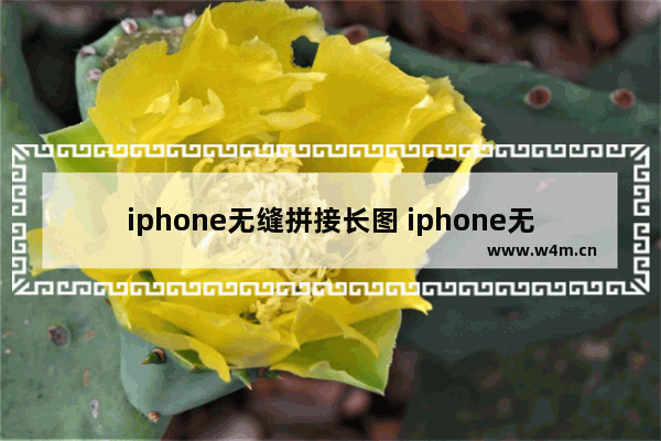 iphone无缝拼接长图 iphone无缝拼接长图软件