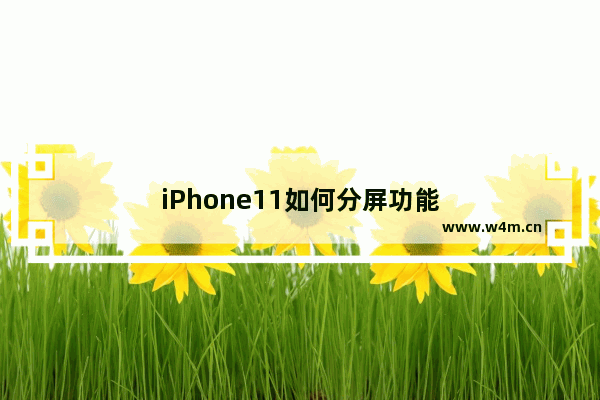 iPhone11如何分屏功能