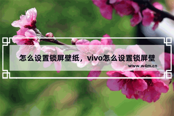 怎么设置锁屏壁纸，vivo怎么设置锁屏壁纸不切换