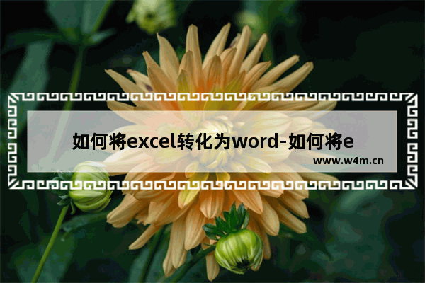 如何将excel转化为word-如何将excel转化为word表格