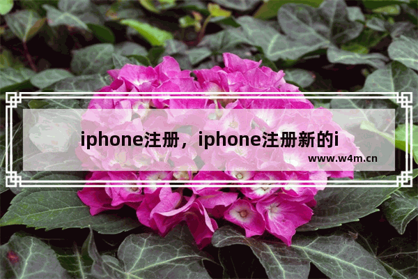 iphone注册，iphone注册新的id账号网站