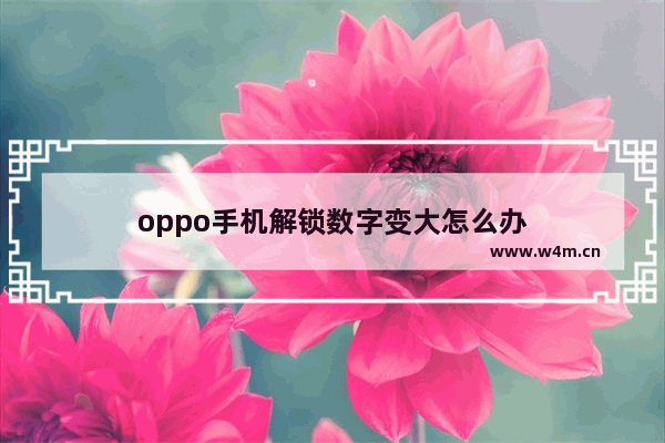 oppo手机解锁数字变大怎么办