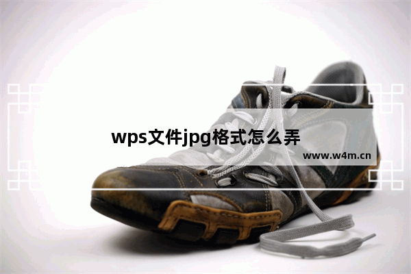 wps文件jpg格式怎么弄