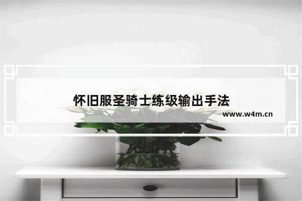 怀旧服圣骑士练级输出手法